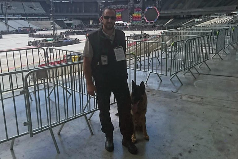 Treinamento de Cães
